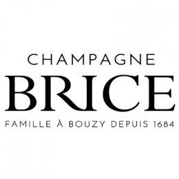 Logo Brice