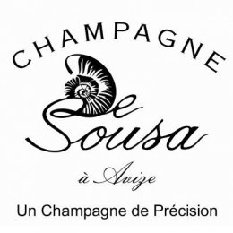 Logo De sousa