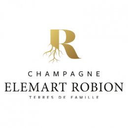 Logo Elemart Robion