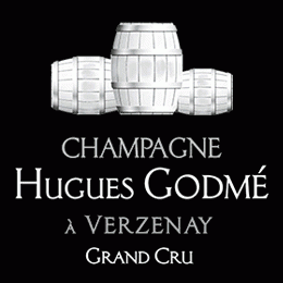 Logo Hugues Godmé