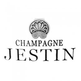 Logo Jestin