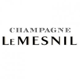 Logo Le Mesnil