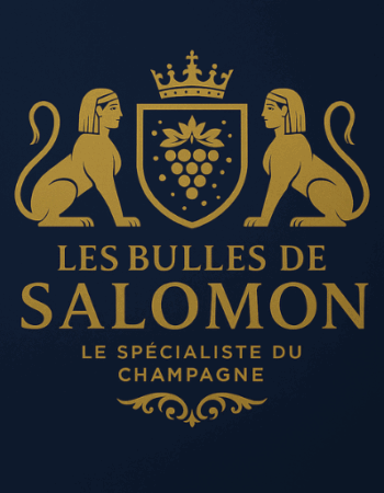 Icon Bulles salomon site