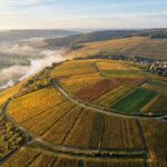 une image montrant les terroirs de champagne