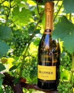 Drappier – Carte d'Or – Image 2